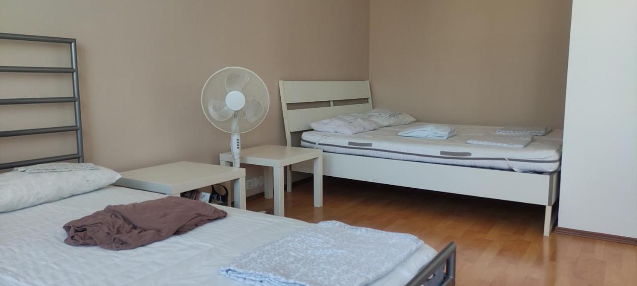 Affordable Studio Near City Center ウィーン エクステリア 写真